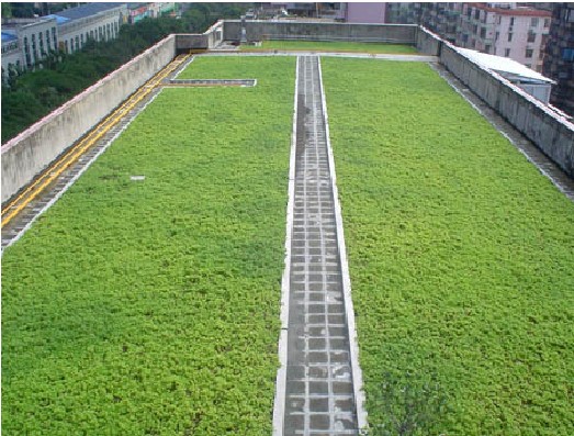 楼顶绿化植草格应用案例
